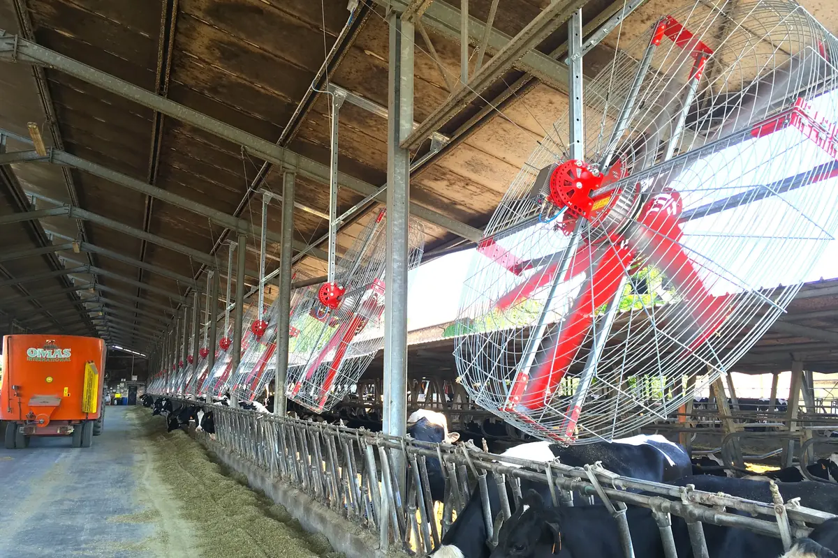 Řada vertikálních ventilátorů v provozu nad krmným stolem