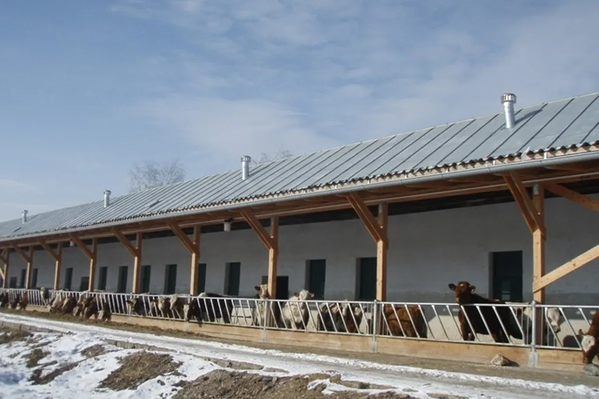 Ventilační turbíny na hřebeni střechy stáje s dřevěným opláštěním