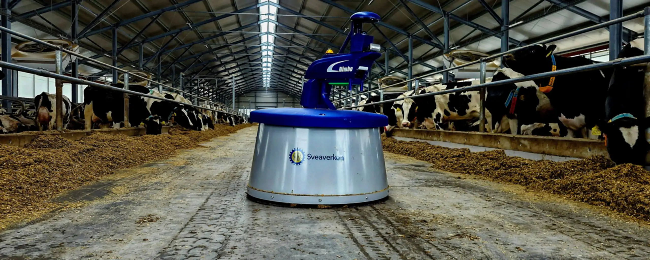 Robot Nimbo přihrnuje krmivo podél krmného stolu s dojnicemi