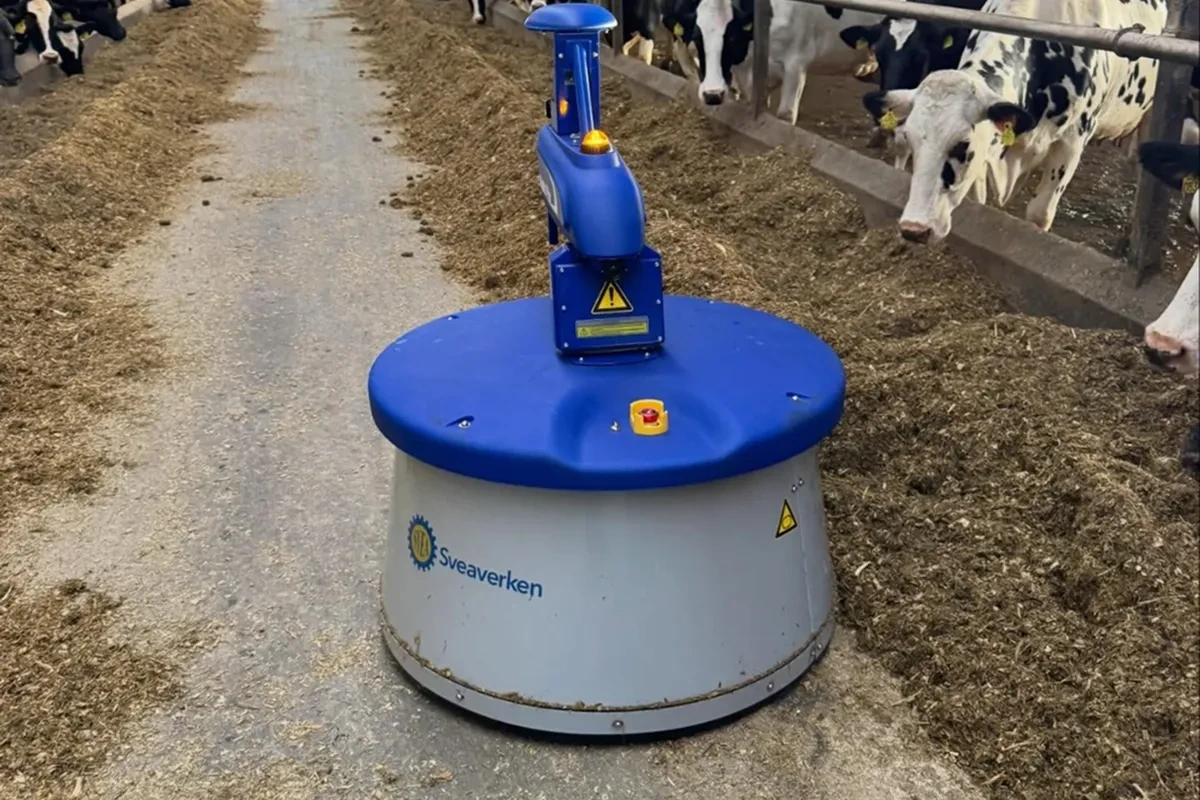 Robot Nimbo v pohybu po krmné chodbě mezi řadami dojnic