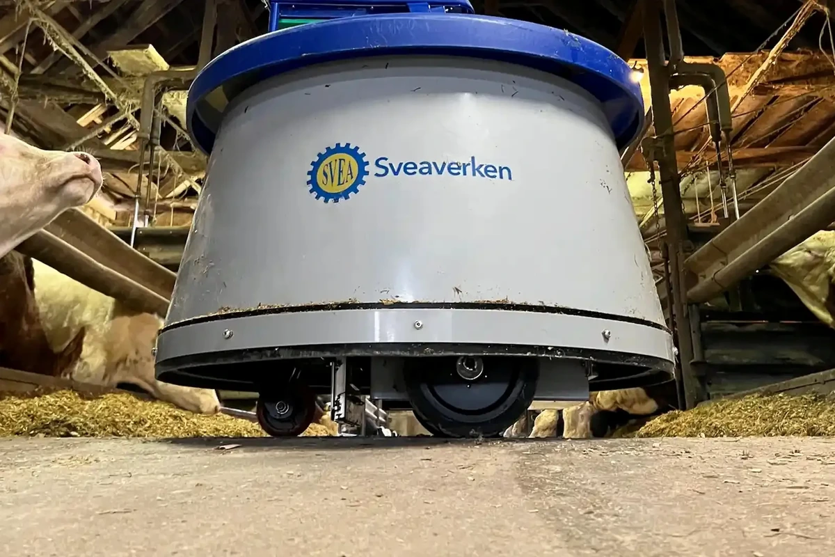 Kráva sledující robota Nimbo při přihrnování krmiva