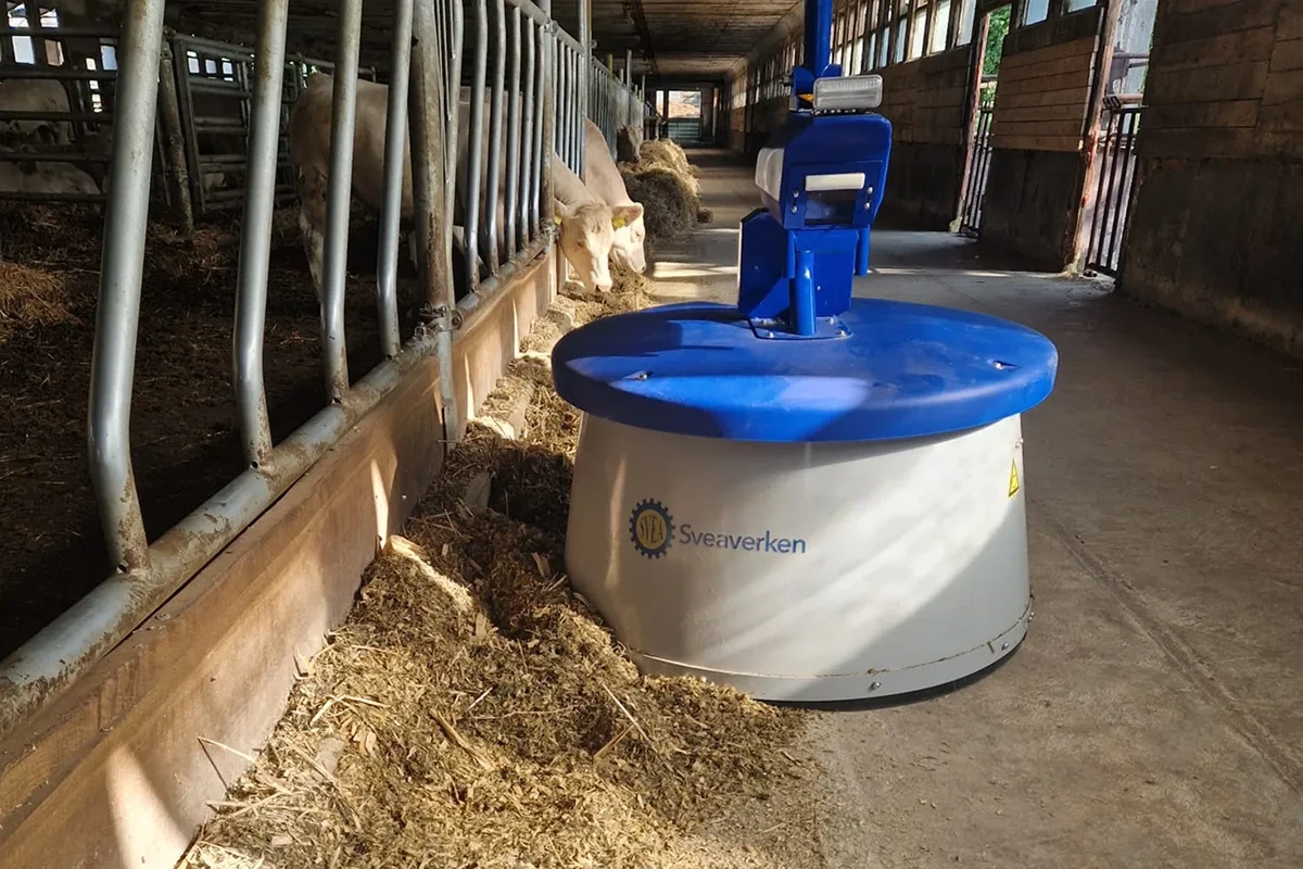 Robot Nimbo přihrnující krmivo podél krmného stolu ve starší stáji