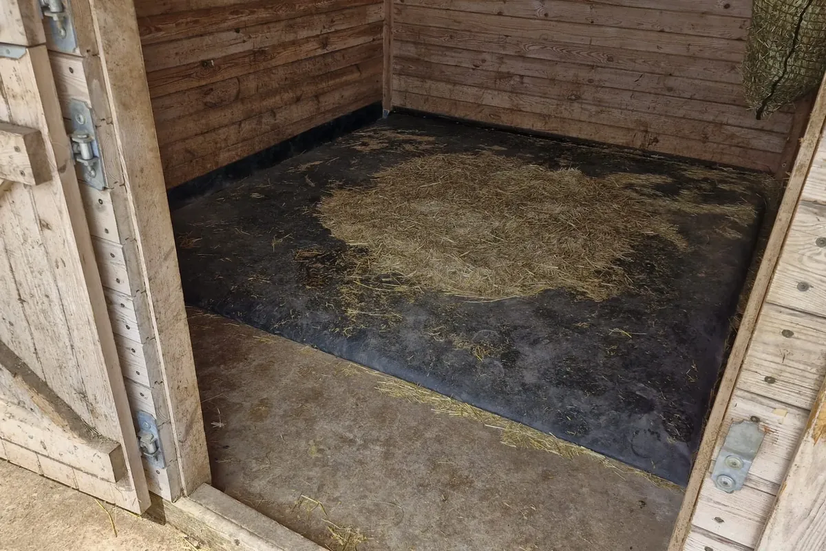 Matrace v koňském boxu s dřevěným obložením stěn