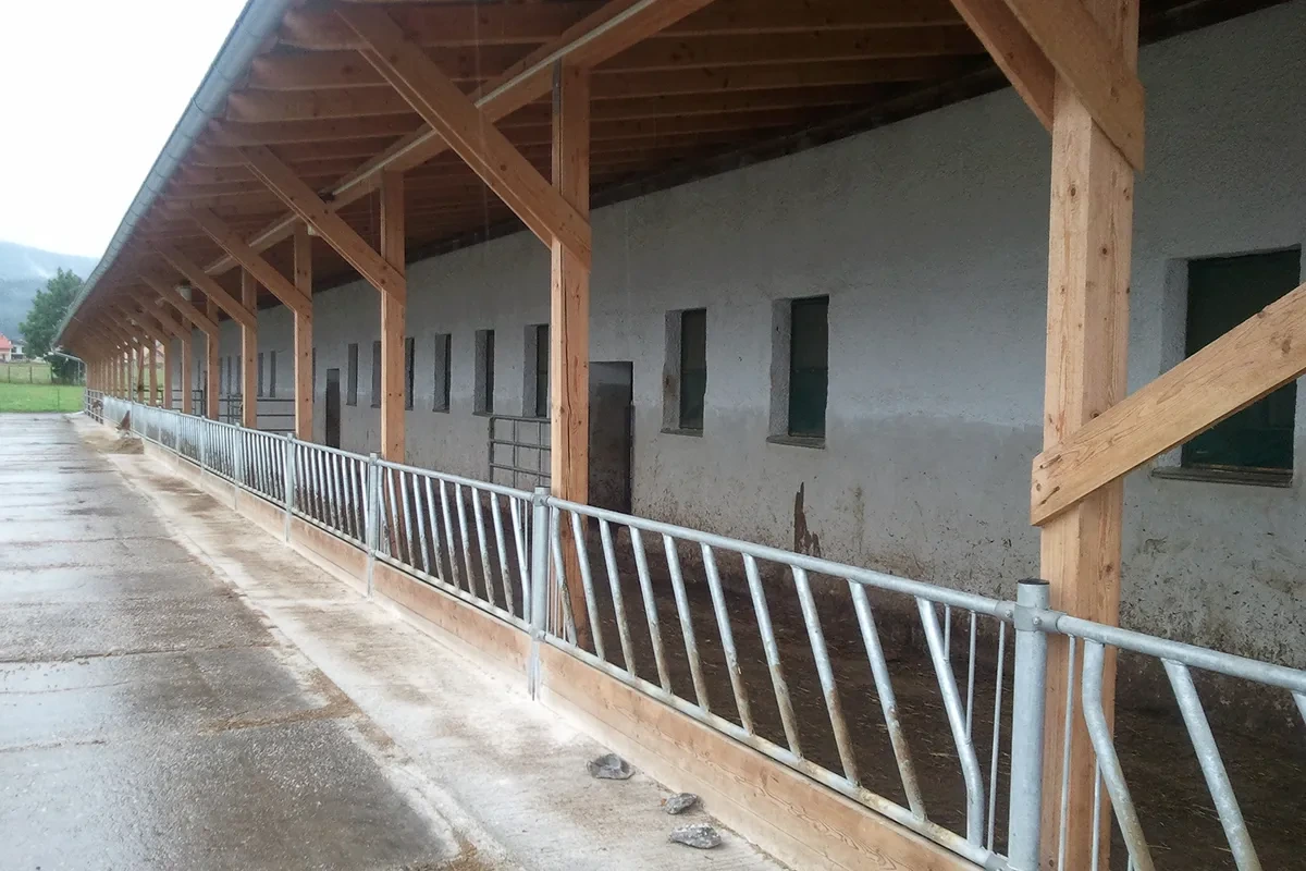 Nová stáj s hrazením lehacích boxů a dřevěnou konstrukcí střechy