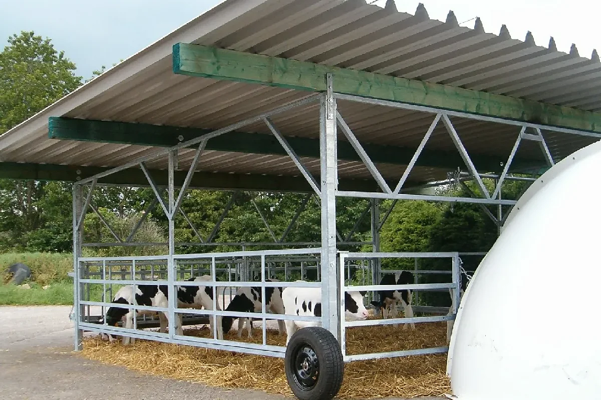 Zastřešená ohrádka systému Veranda s telaty navazující na skupinovou boudu Igloo
