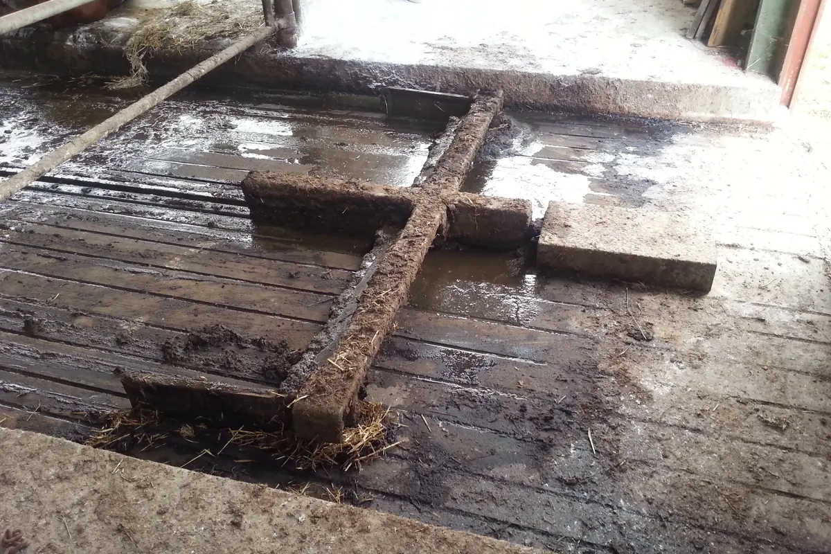 Shrnovací lopata vyhrnující kejdu po roštové podlaze stáje