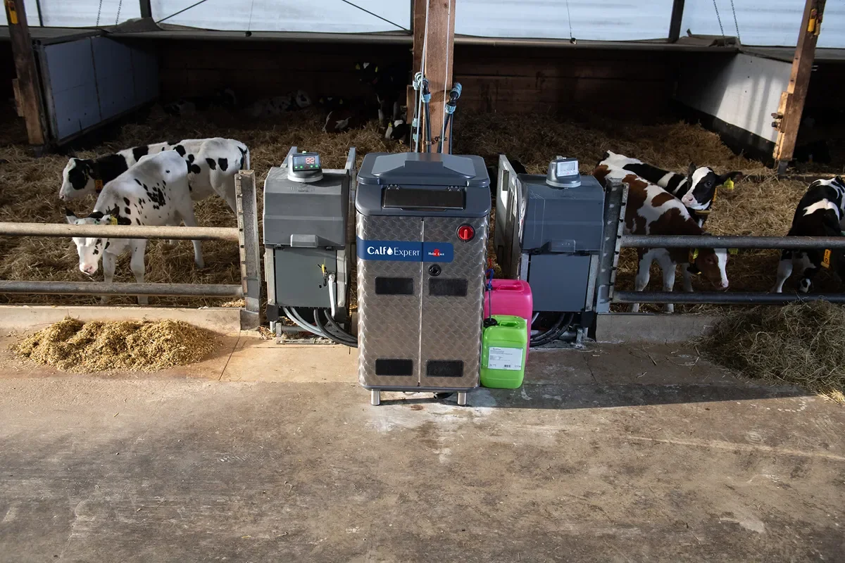 Krmný automat mezi kotci s telaty ve stáji
