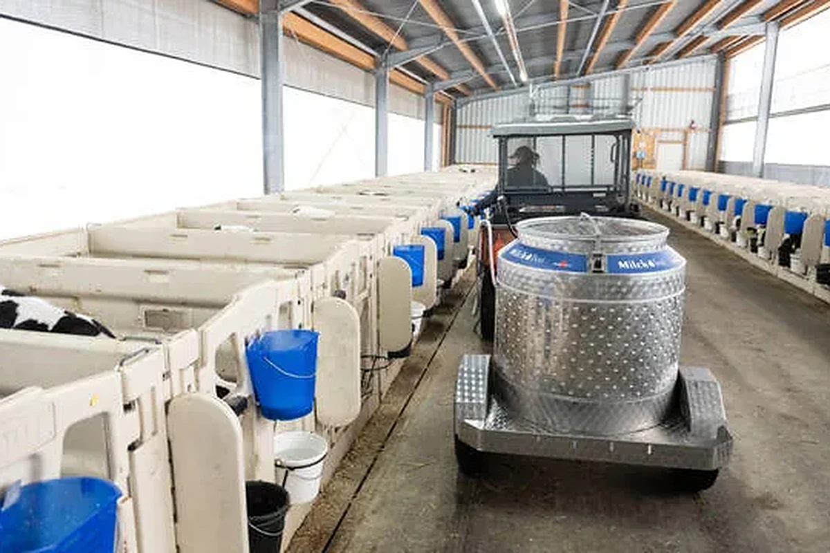 Vozík MilkTaxi 400 l při rozvozu mléka mezi kotci s telaty