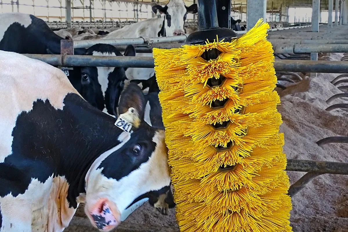 Dojnice u svislého pasivního kartáče ve stáji