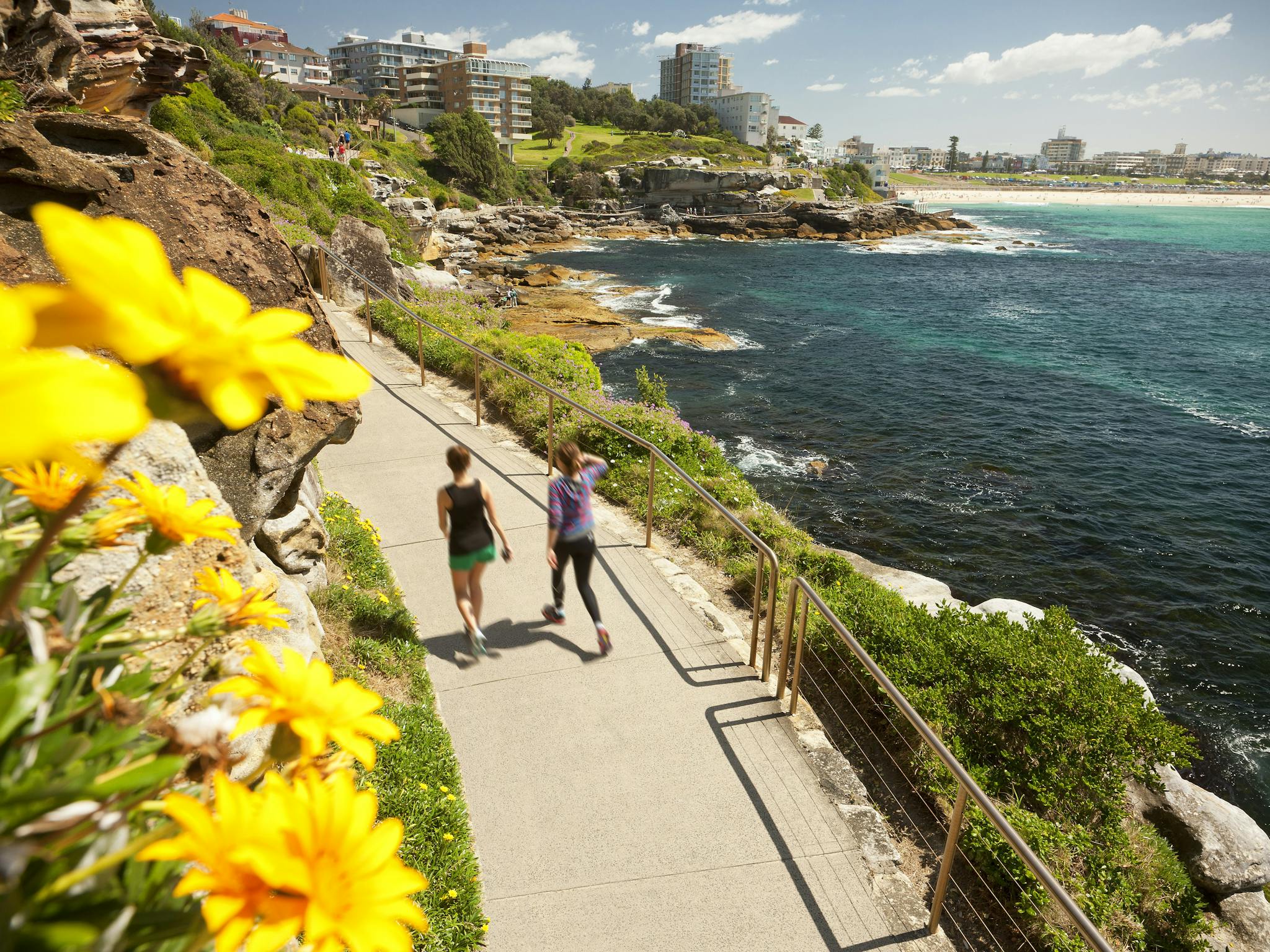 Bondi wellness