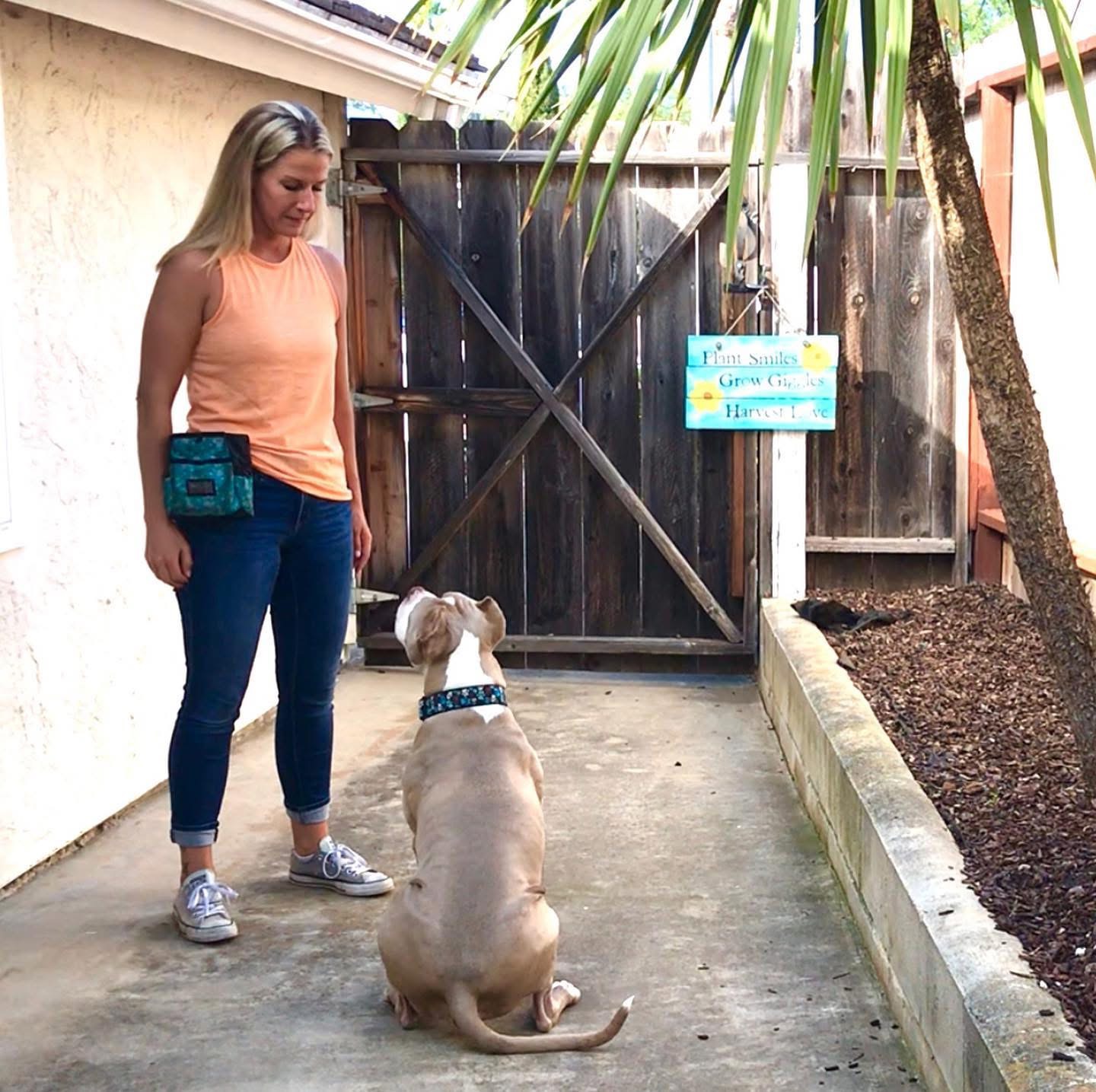 Courtney working with a dog outdoors