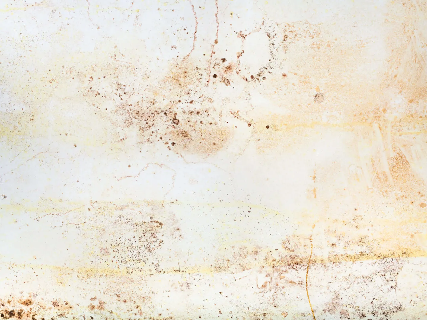 Water damage restoration tips and expert advice - Save The Day Restoration blog