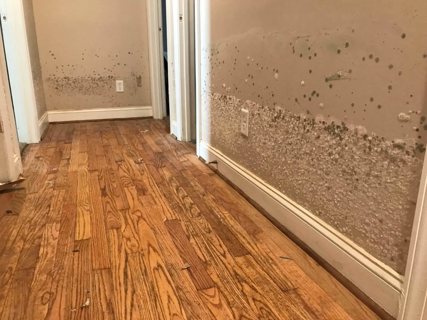 Office Building Water Damage: Protecting Electronics and Documents - Save The Day Restoration blog