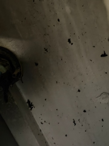 Odor removal services by Save The Day Restoration in Los Angeles and Orange County