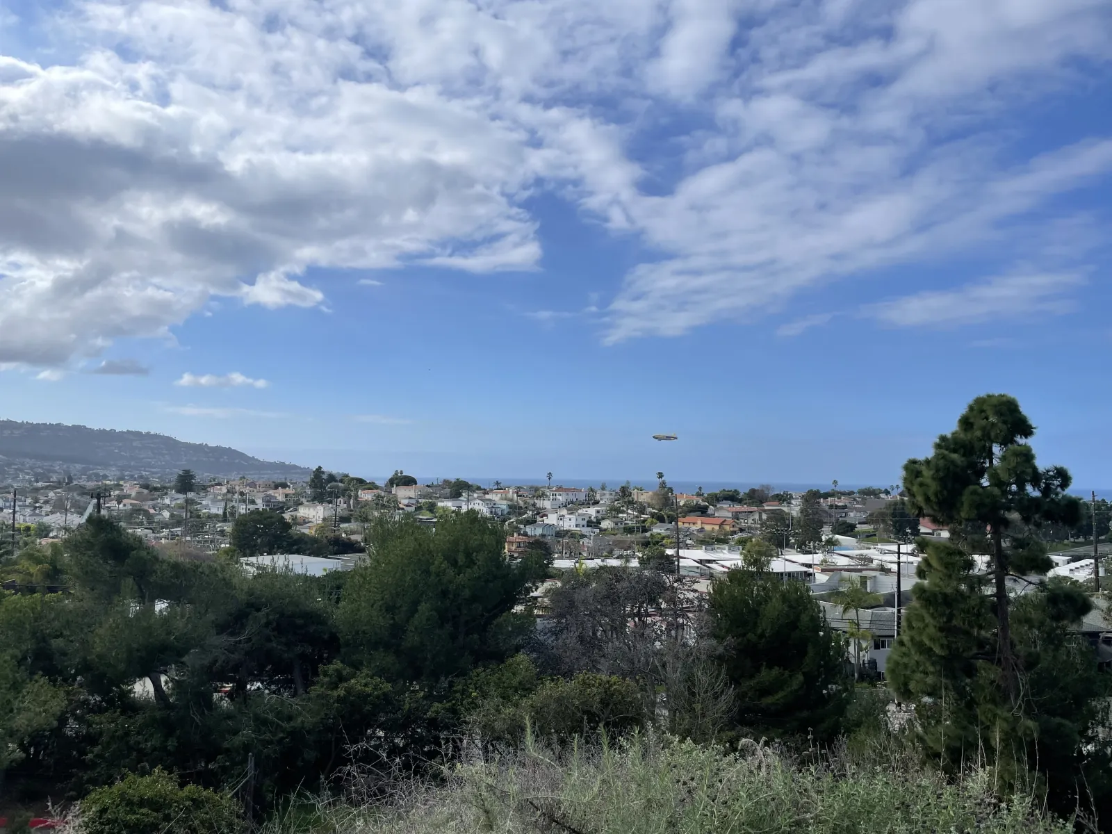 Torrance — Save The Day Restoration service area