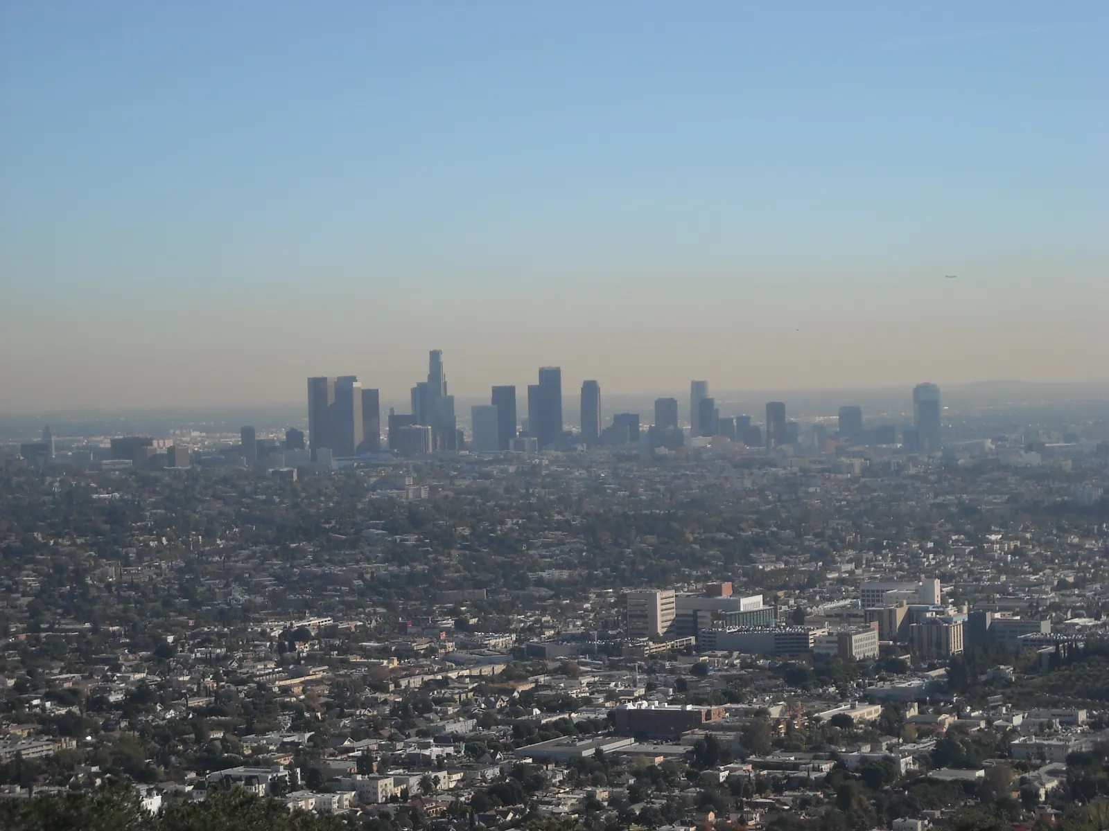 Los Angeles — Save The Day Restoration service area