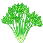 Fresh chard