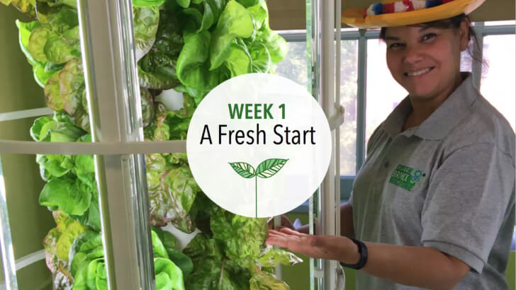 Students starting seeds at the beginning of the curriculum