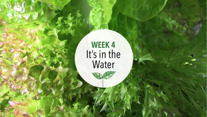 Water being measured for the Tower Garden reservoir