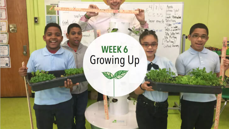 Students tending a mature Tower Garden