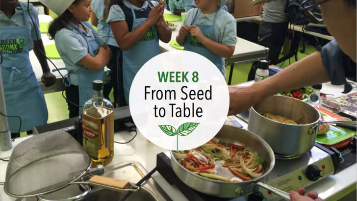 Students sharing a harvest meal together