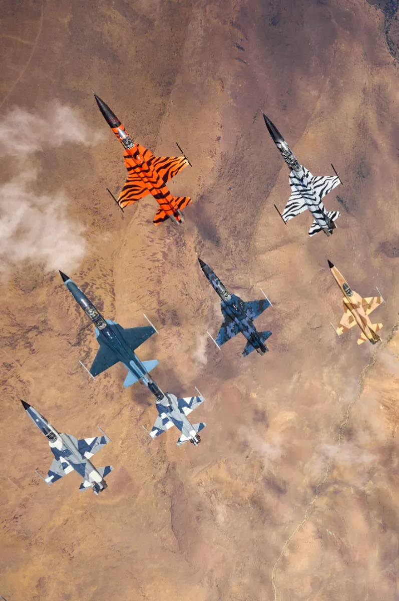 F5s flying in formation looking down at them
