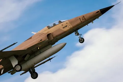 F5 aircraft climbing with landing gear down