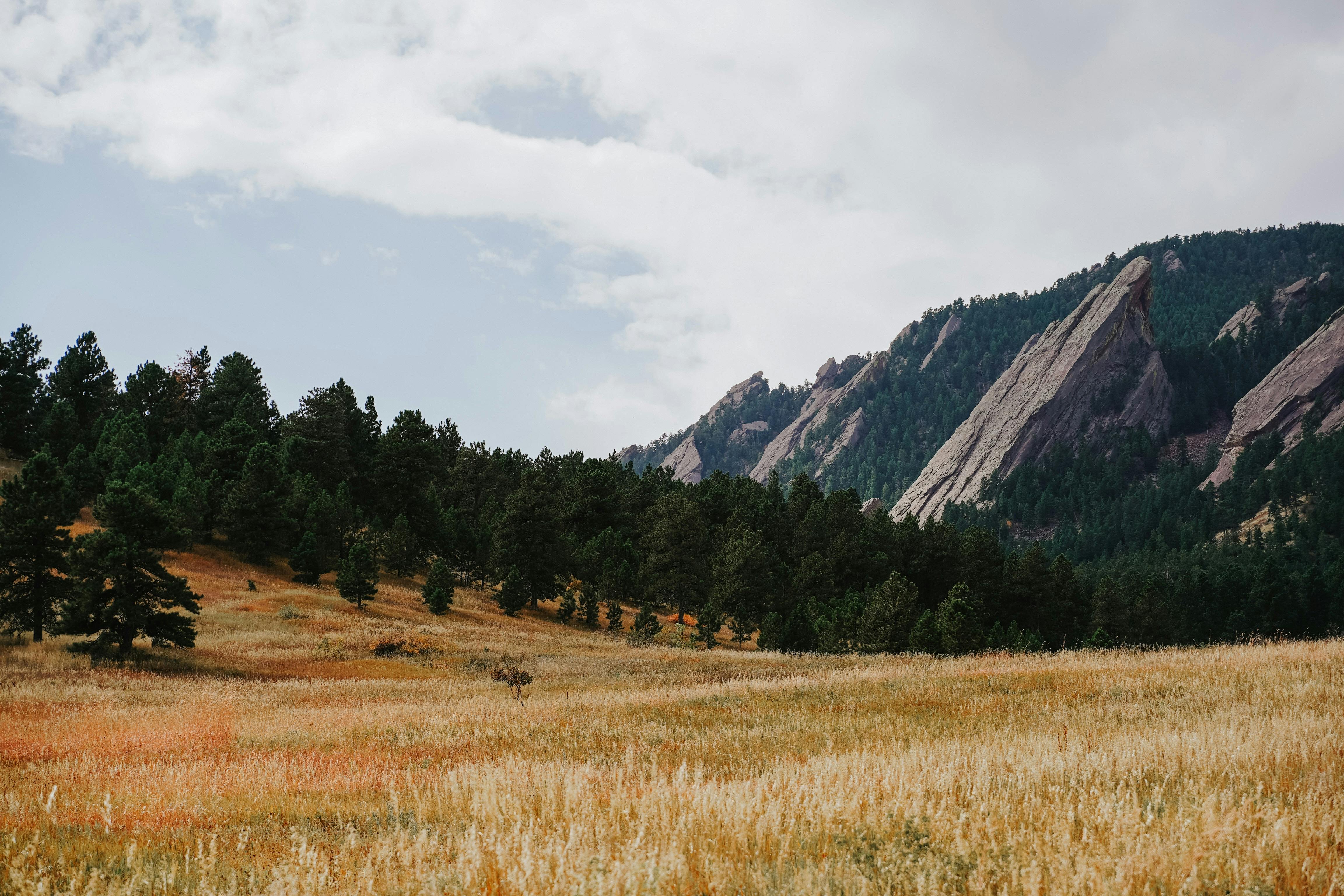 Boulder