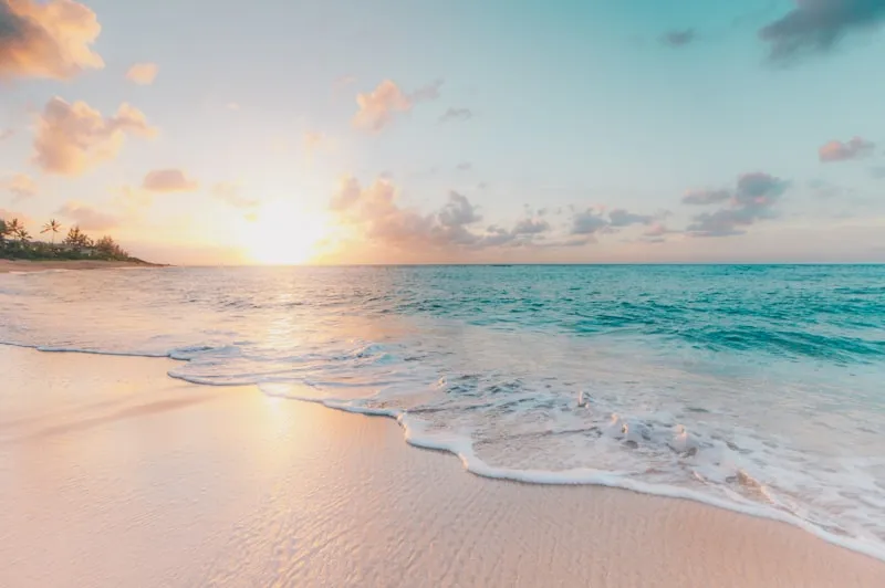 Soft waves wash onto a sandy beach under a pastel sunrise with scattered clouds and palm trees.