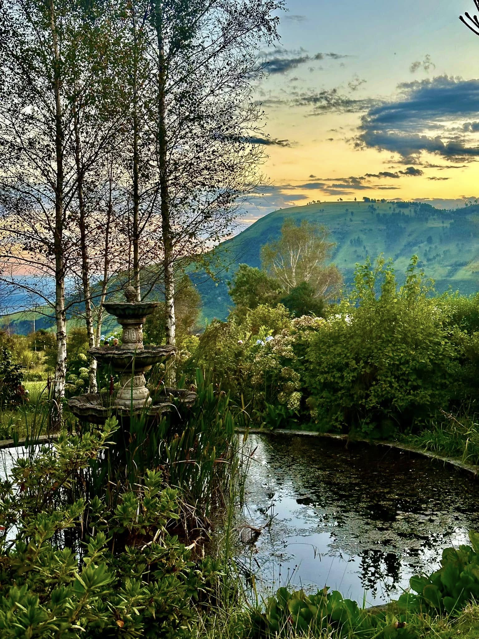Whimsical and magical Hogsback