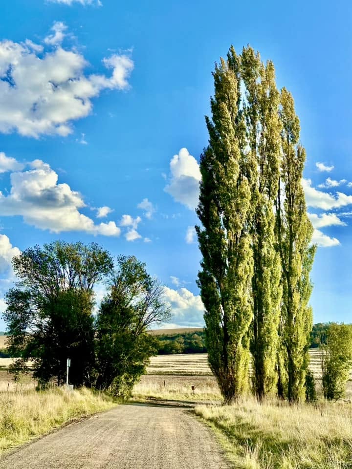 R345 between Cathcart and Hogsback, Eastern Cape
