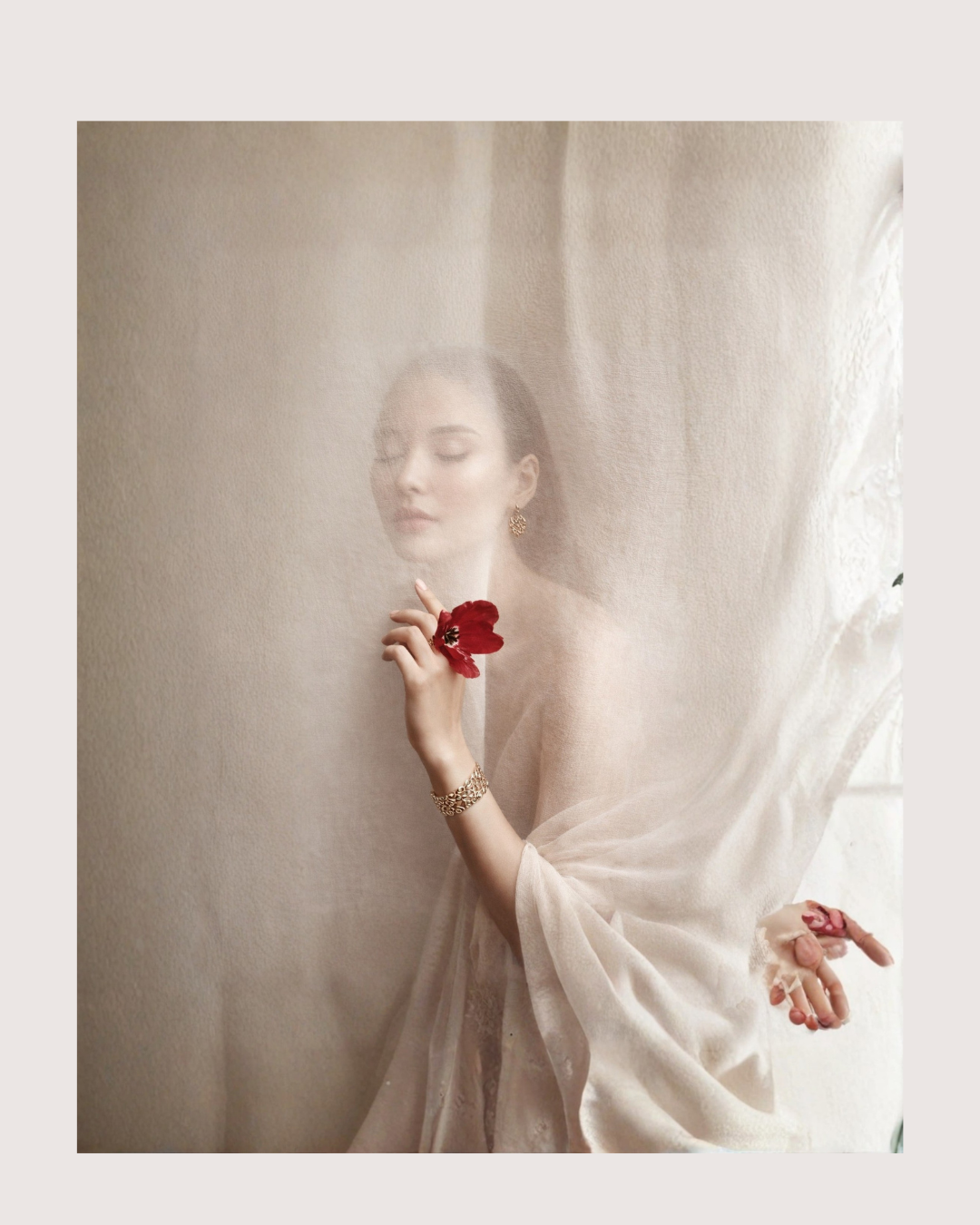 Soft beauty portrait holding red flowerSoft beauty portrait holding red flower