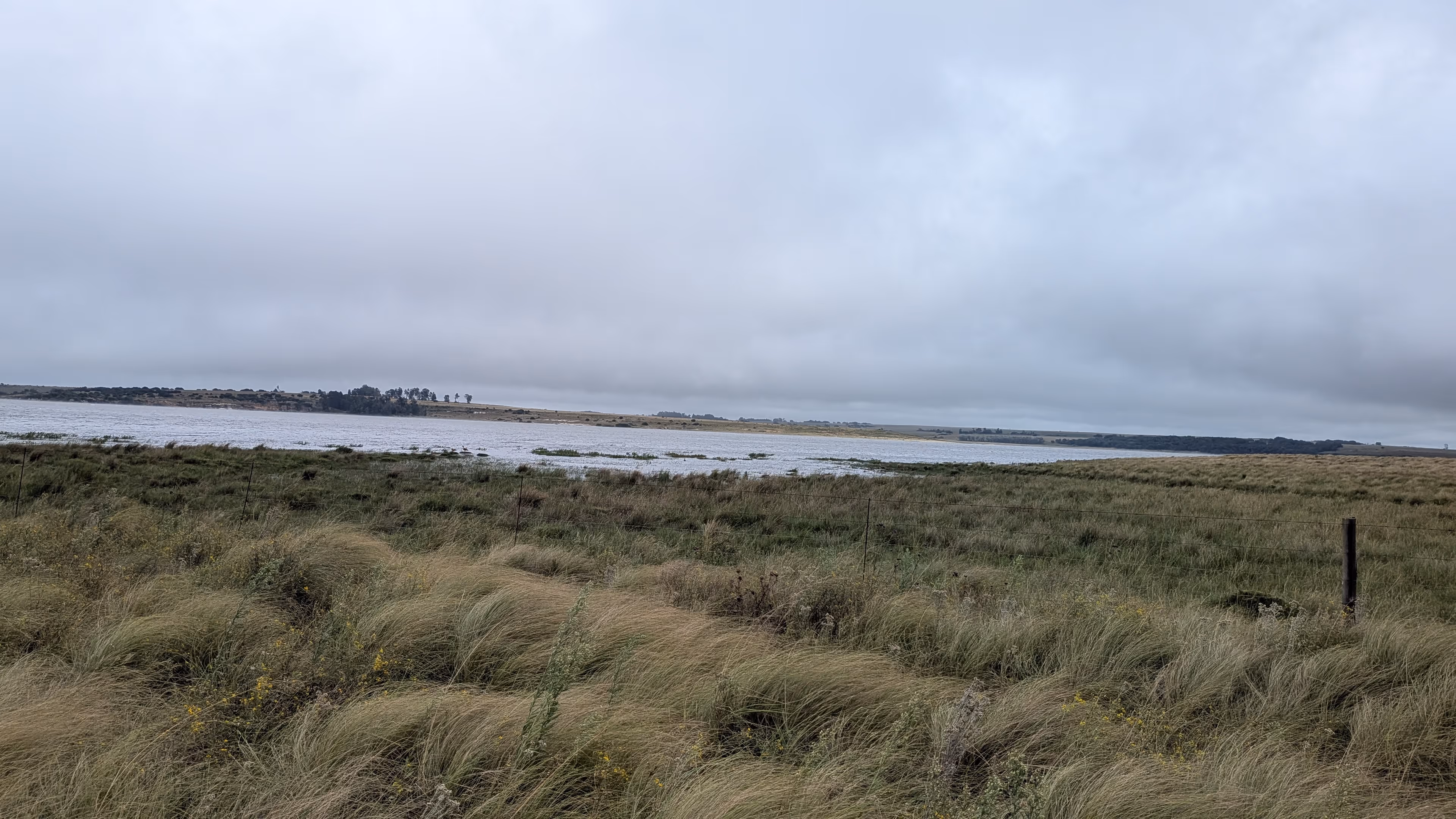 Chrissiesmeer