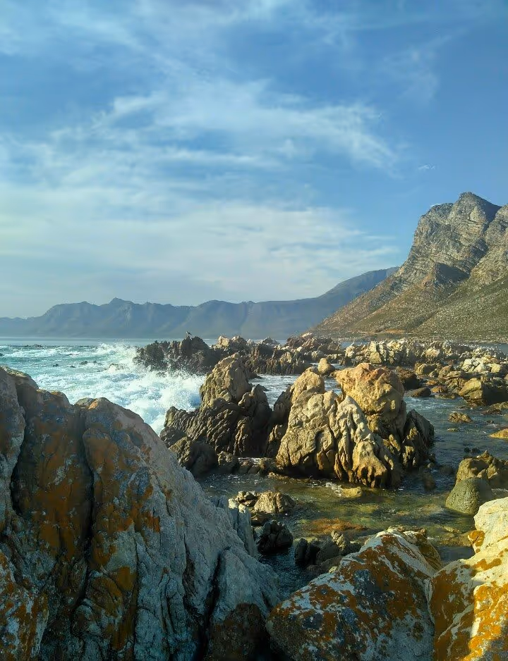 Rooi Els