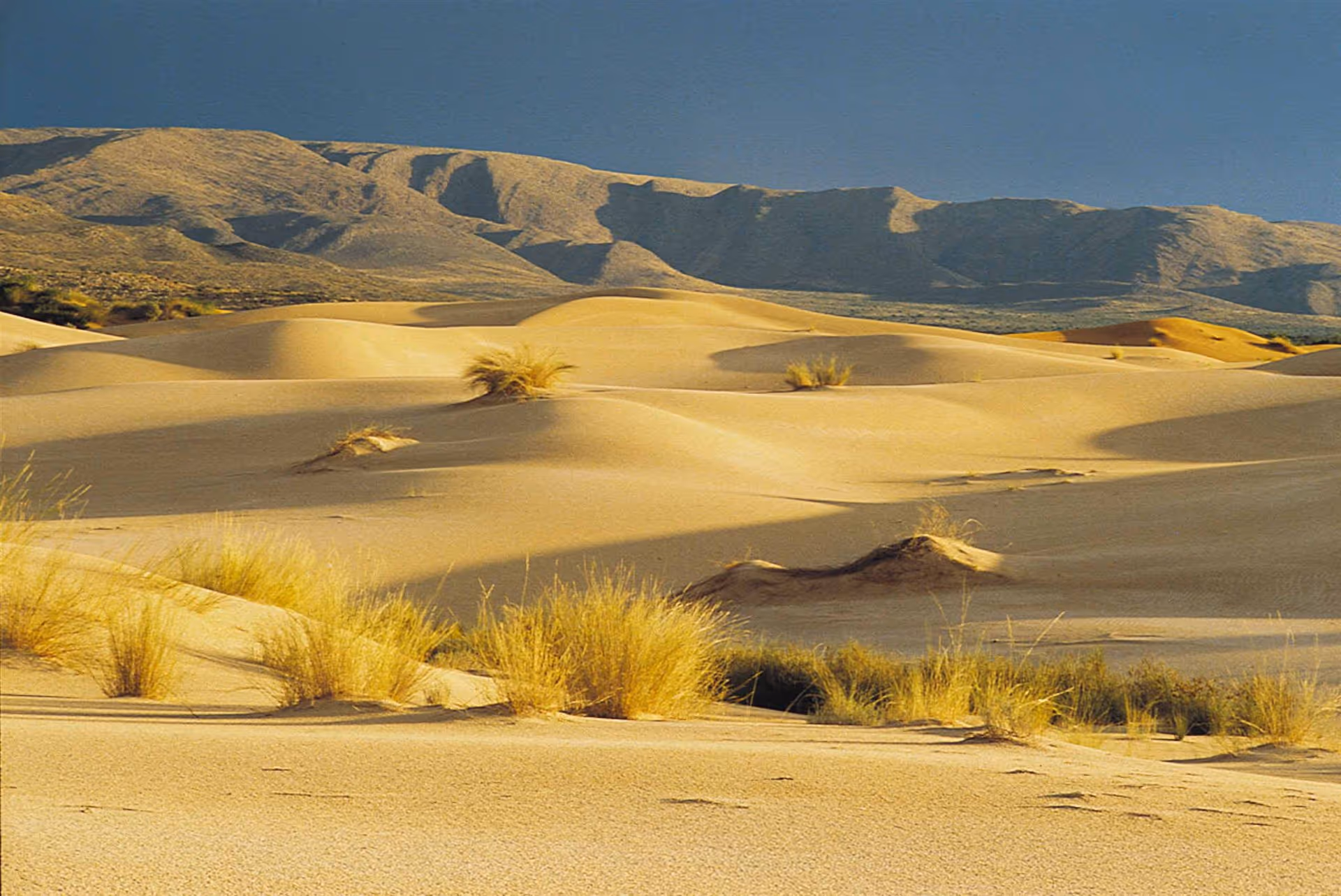Witsand
