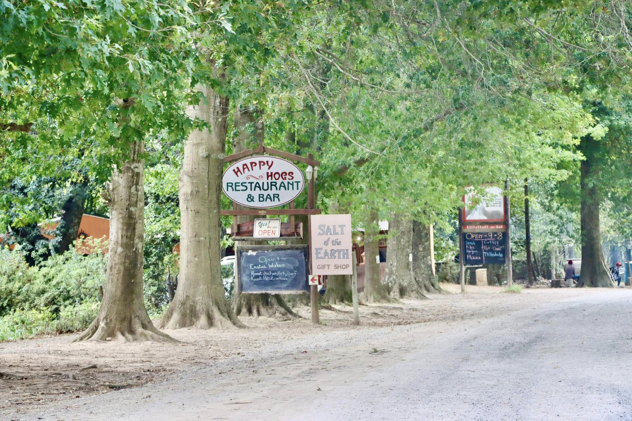 Hogsback main street