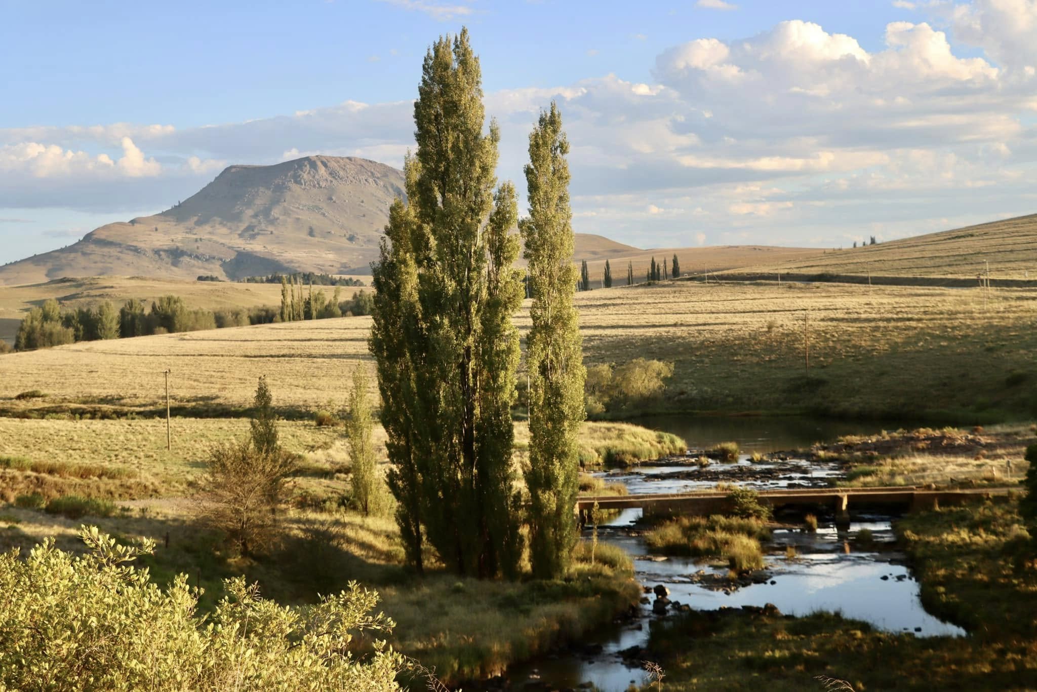 R345 between Cathcart and Hogsback, Eastern Cape