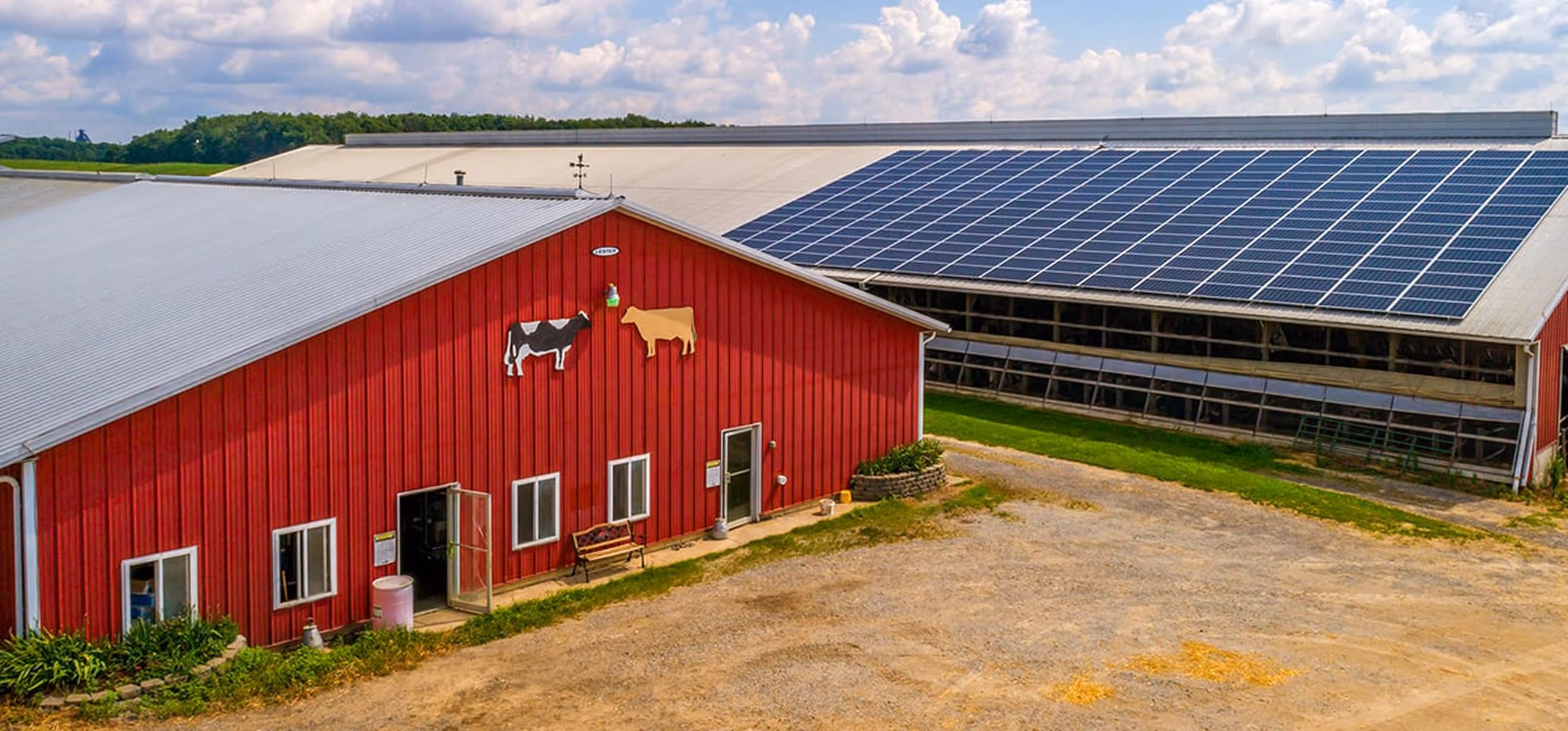 Large red barn with cow decorations on the side and a roof covered with solar panels under a partly cloudy sky.