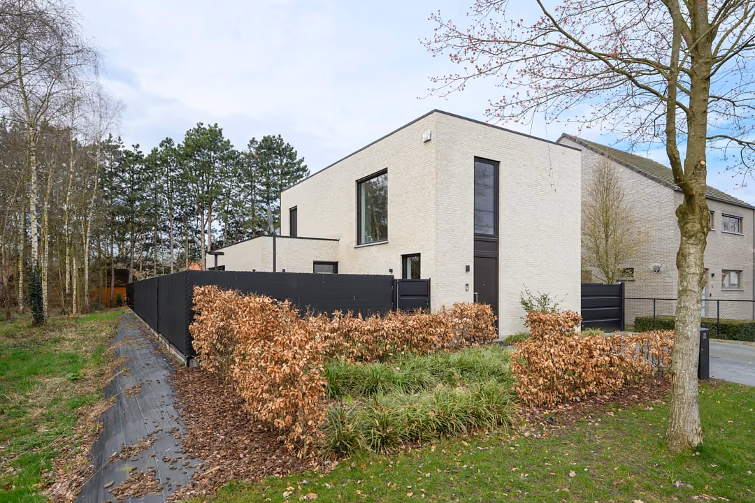 Witte energiezuinige nieuwbouwwoning met plat dak achter een beukenhaag in Beerse