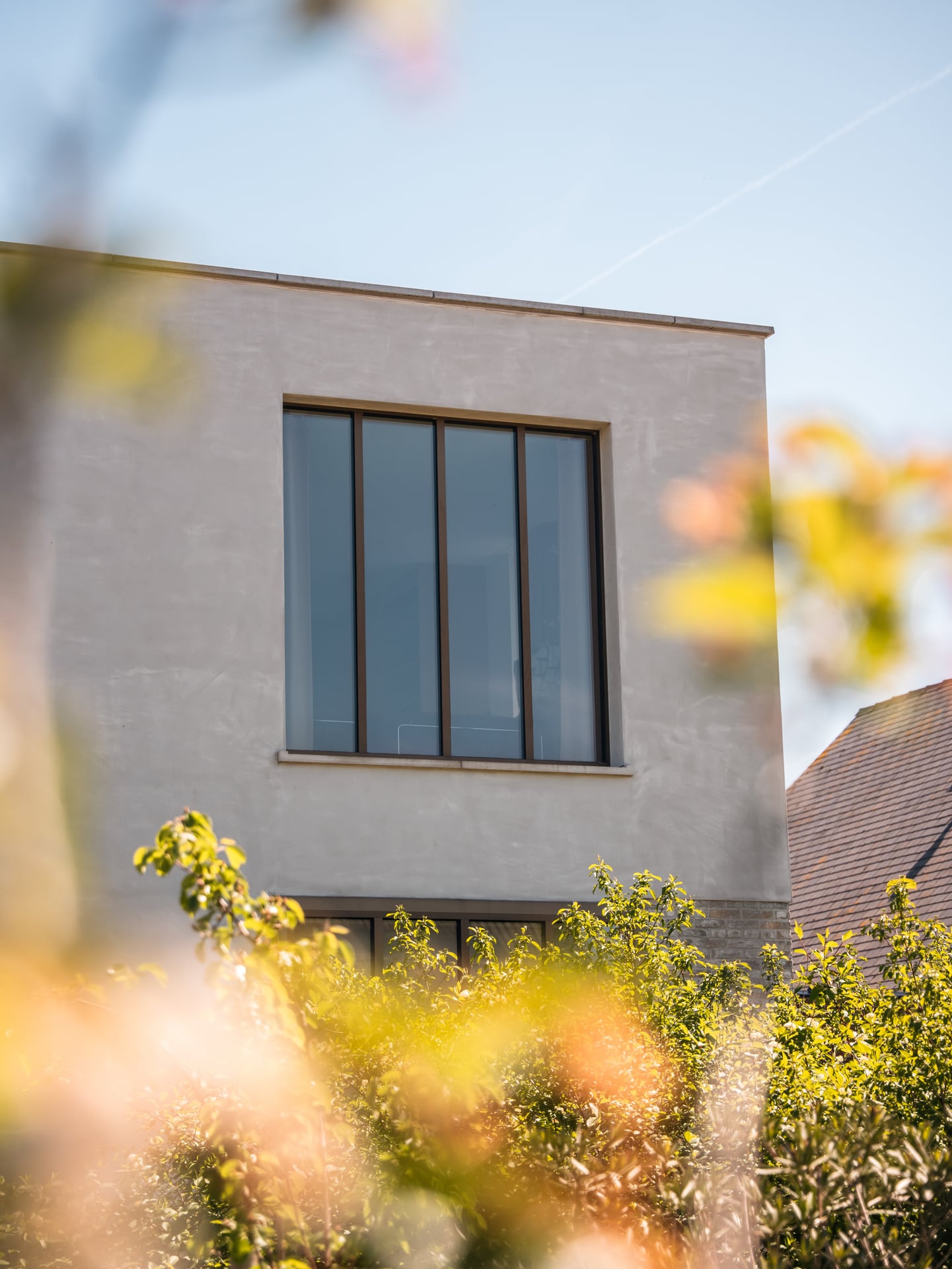 Detail van de gepleisterde gevel met groot zwart raamkader, deels achter bloeiende beplanting
