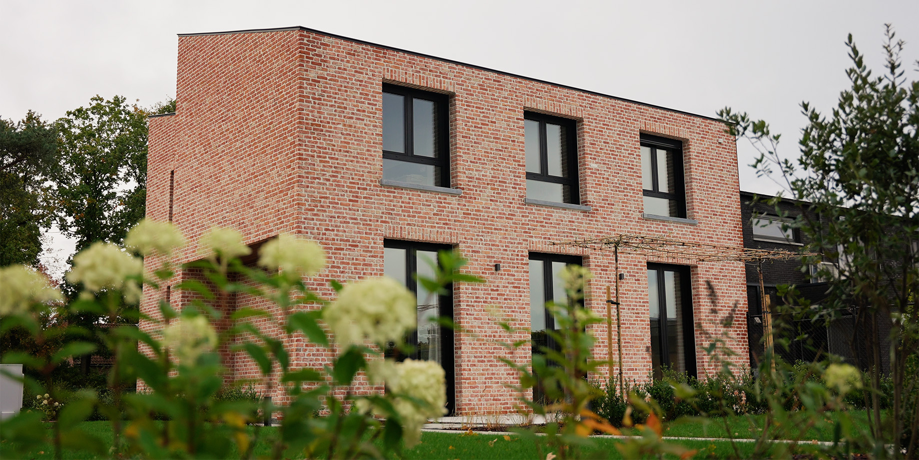 Kubusvormige nieuwbouwwoning in Merksplas met genuanceerde gevelsteen, gezien vanachter bloeiende hortensia's