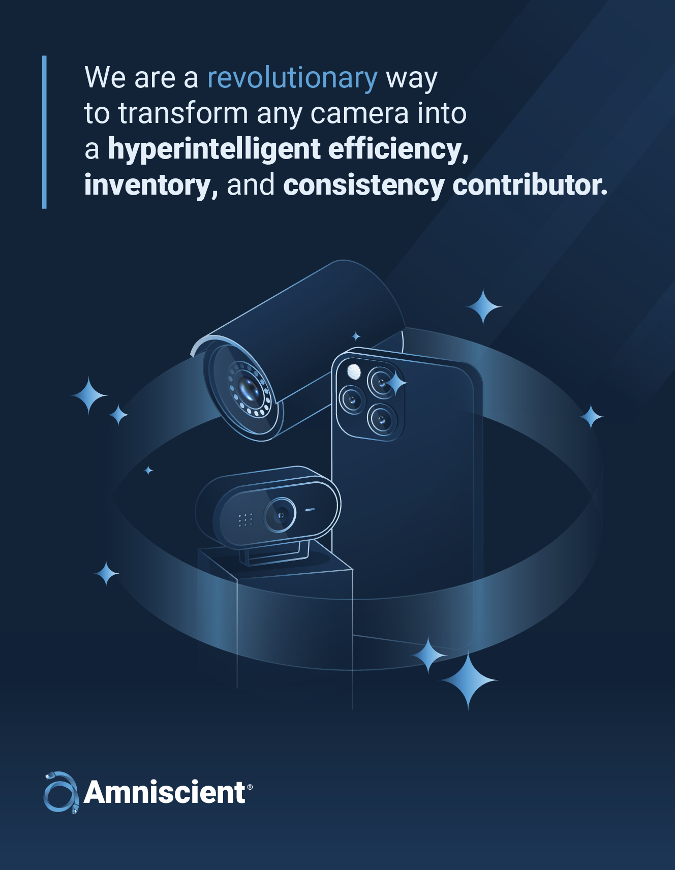 One-pager on what Amniscient has to offer.