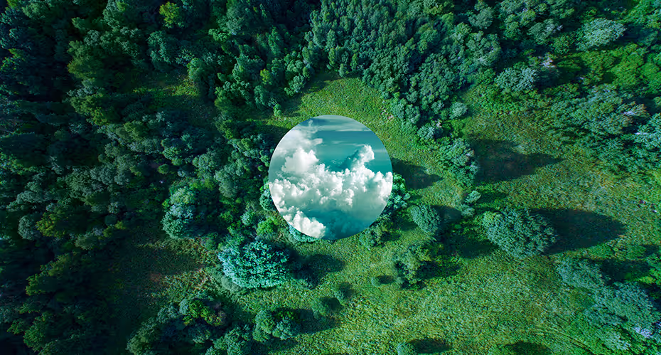 Thompson’s commitment to sustainability