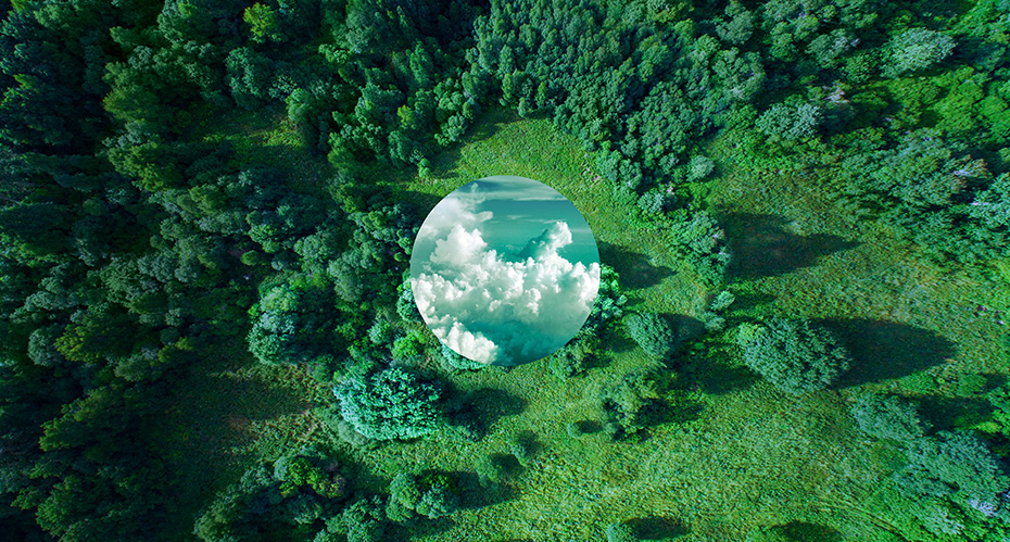 Thompson’s commitment to sustainability