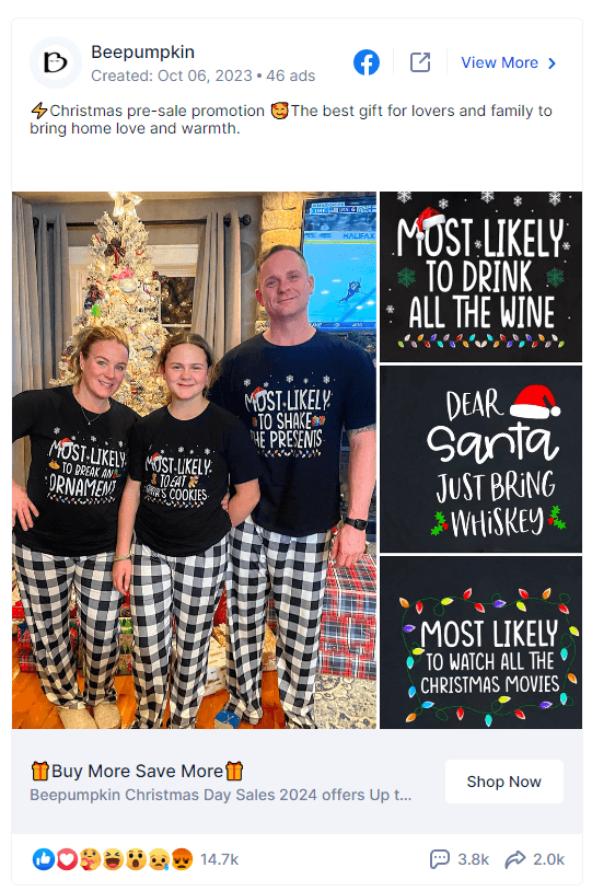 Bee Pumpkin Facebook ad with matching holiday shirts for a family