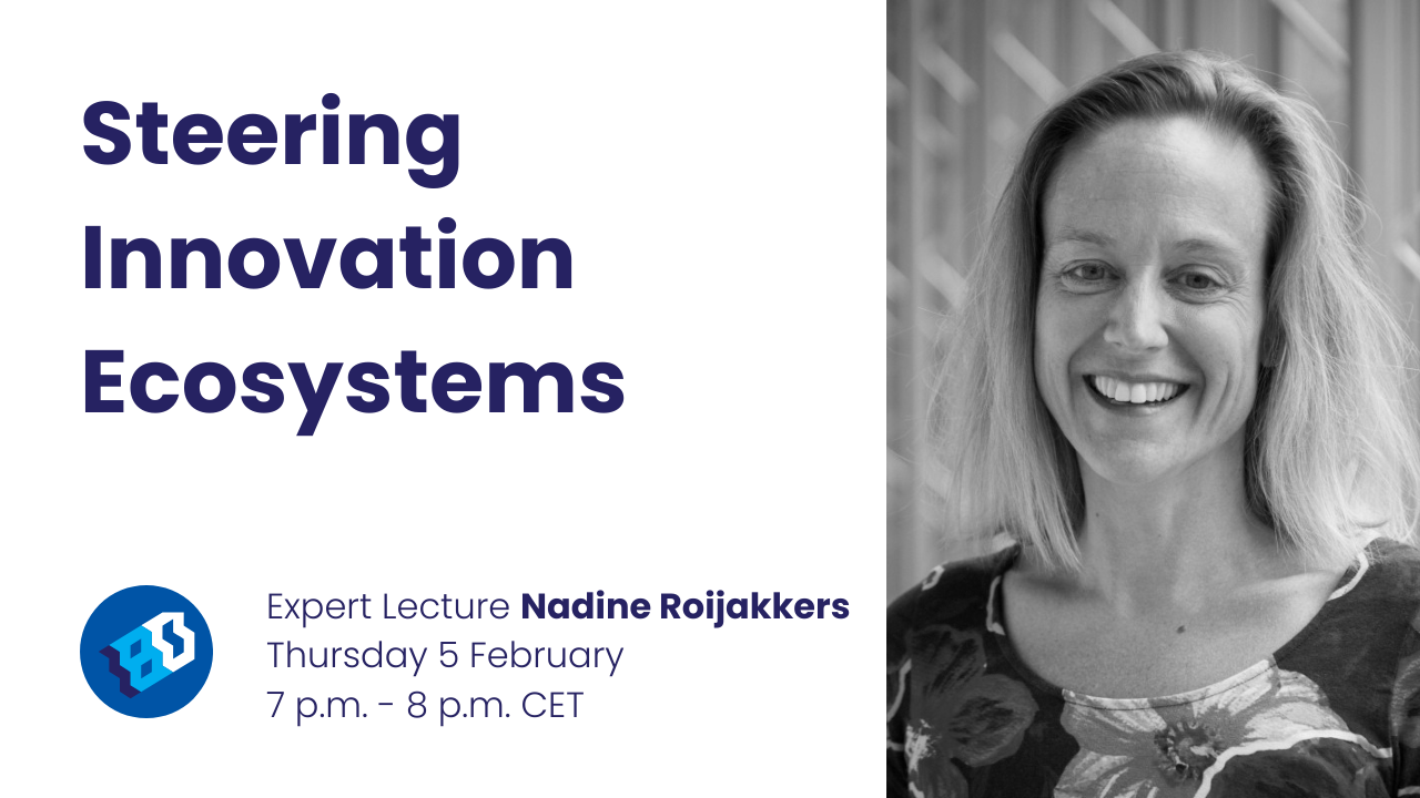 Steering Innovation Ecosystem - Nadine Roijakkers