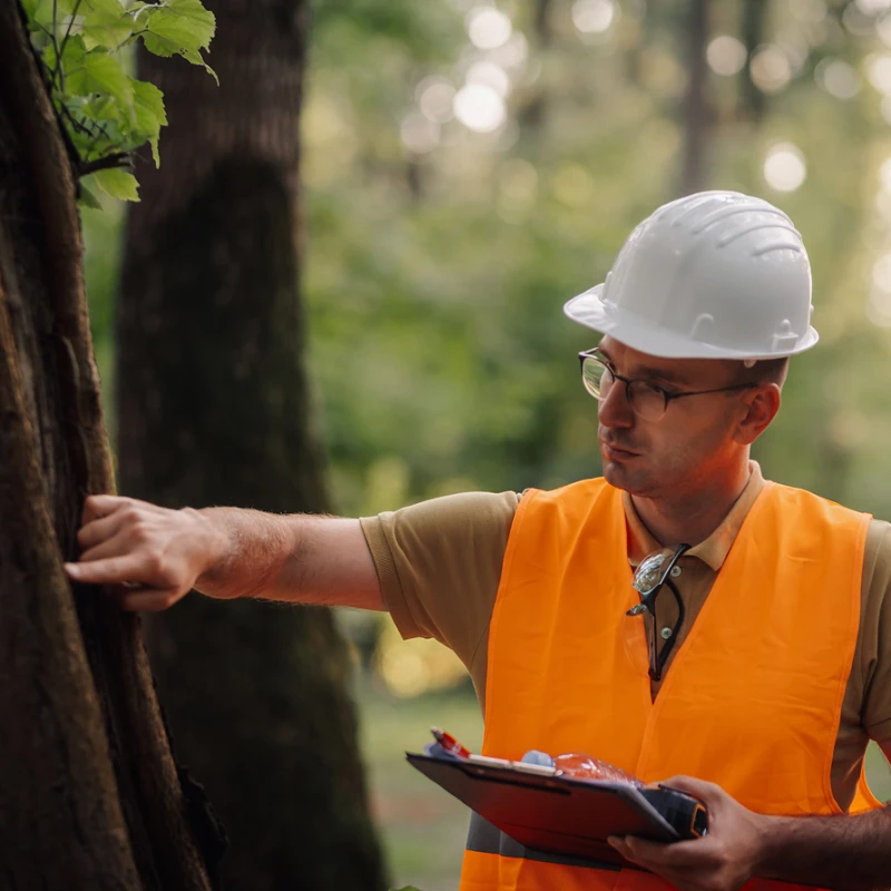 Man in high vis vest and hard hat preparing environmental plan out in woods