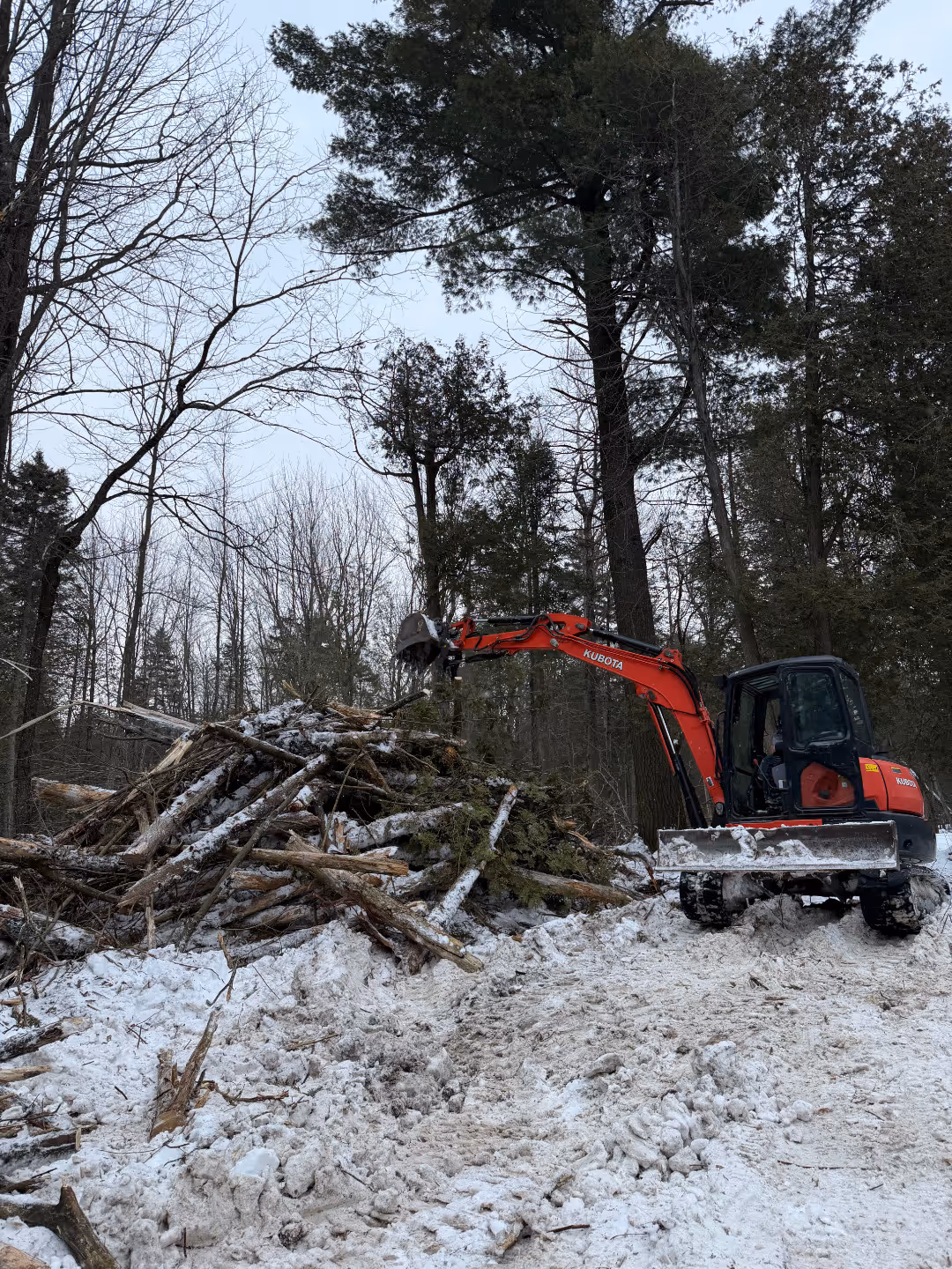 Travaux déboisement