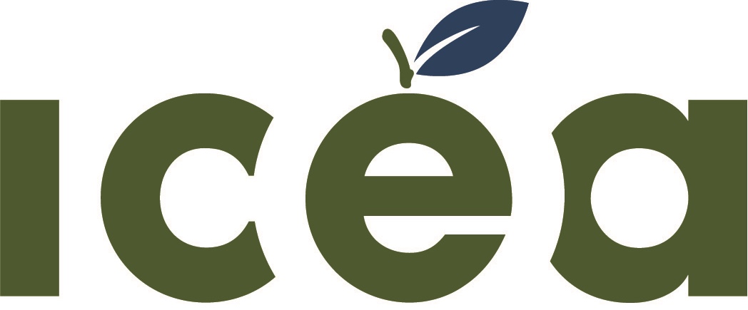 Institut de coopération pour l'éducation des adultes