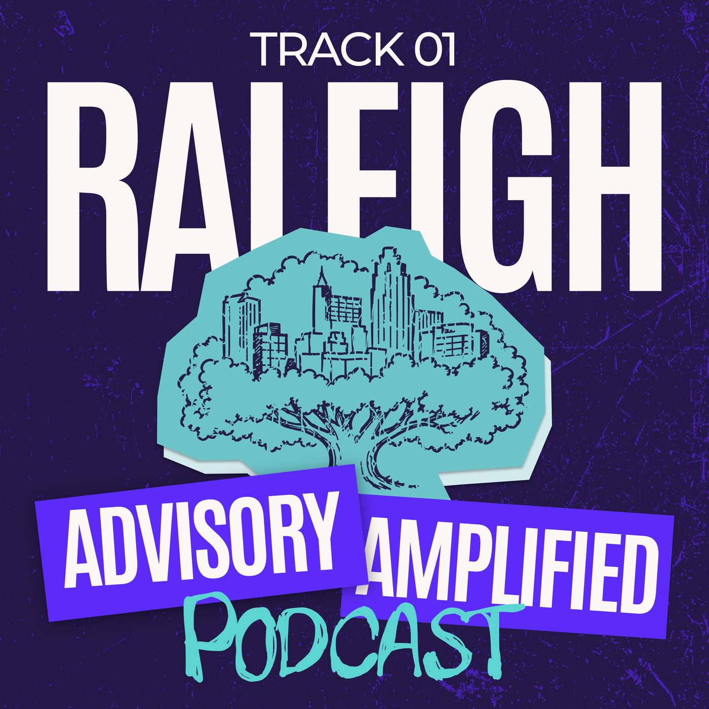 Advisory Amplified podcast episode 1, Raleigh